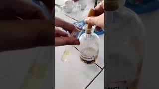 Brown Ring Test  Confirmatory Test of Nitrate Class 12 Chemistry prac httpsyoutubePMUG7DrFjKw [upl. by Eirallih]