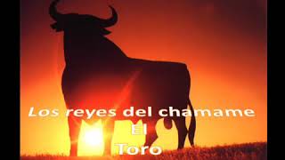 Chamame el toro [upl. by Samuel]