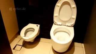 Best Free Toilet in Singapore of Asia [upl. by Davie]