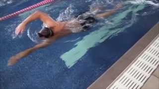 Front Crawl High Elbow Recovery Phase [upl. by Ardnosak]