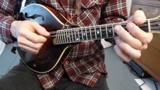 Swallowtail Jig With Tabs  Mandolin Lesson [upl. by Checani]