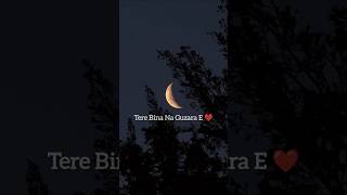 Tere Bina Na Guzara E  Song by Josh Brar😍 music lyrics shorts [upl. by Zetrac]