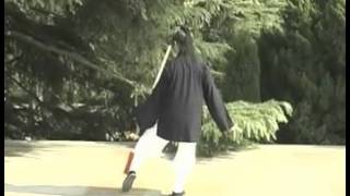 Wudang Tai Chi Sword tutorial [upl. by Elfrida]