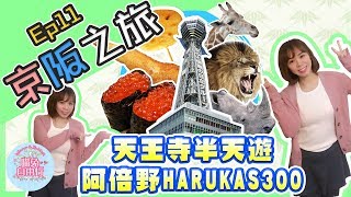 【大阪自由行Vlog】京阪之旅Ep11天王寺動物園阿倍野HARUKAS300通天閣新世界函太郎迴轉壽司天王寺半天遊喵兔自由行 [upl. by Akselav]