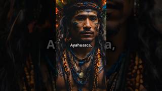 Ayahuasca Experience [upl. by Martinic]