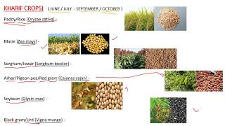 KHARIF AND RABI CROPS [upl. by Peppy]