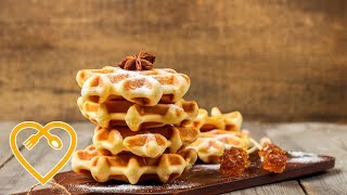 Beligsche Waffeln  Gesunde Rezepte zum Abnehmen  Mein gesunder Ernährungsplan [upl. by Poore156]