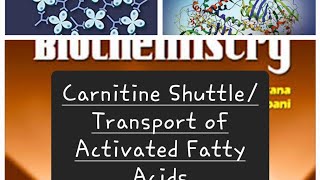 Carnitine Shuttle Made Easy mbbs biochemistry lipids medical medico [upl. by Garth396]