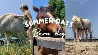 I Made a Bad Wardrobe Choice  Summer Barn Vlog [upl. by Gothar]