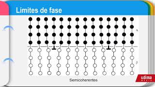 defectos planares Límites de grano maclas y limites de fase [upl. by Yrrol907]