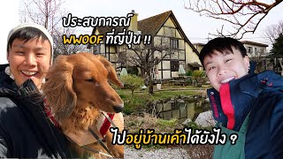 ไปอาศัยกับคนญี่ปุ่นแบบ ฟรีๆ  WWOOF  CHANYA CHANNEL [upl. by Limann791]