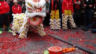 Chinees Nieuwjaar 2017 Amsterdam Het Jaar van de Haan [upl. by Eudo307]