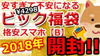 【2018ビックカメラ福袋】3980円（税抜）のスマホ福袋の中身はコレ！【格安スマホB】 [upl. by Ennasirk]