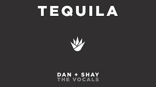 Dan  Shay  Tequila The Vocals [upl. by Aitnwahs]