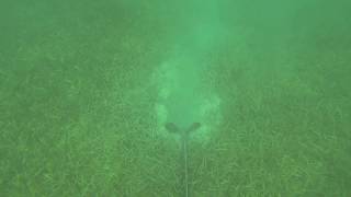 Anchoring on Grassy Bottom in Belize [upl. by Htebaile]