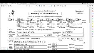 How to Complete Formblatt 1 for HZP Entry [upl. by Romie]