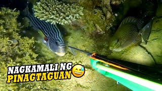 NAGKAMALI NG PINAGTAGUAN 😂  EP 166  NIGHT SPEARFISHING PHILIPPINES  Drins Adventure  KATUSOK [upl. by Natye]