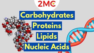 Macromolecules Explained  2MC GIGAVID [upl. by Dunc]