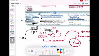 DPP 4 inhibitors mechanism of action endocrinology 91  First Aid USMLE Step 1 in UrduHindi [upl. by Rento923]