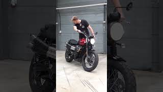 Triumph Scrambler 900 RAW AUDIO  Gorgeous 😍🔥 triumph scrambler [upl. by Killion796]