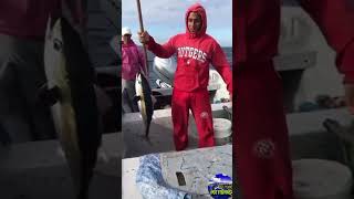 Albacora fishing  pesca  atun  palmar de ocoa [upl. by Hayidan940]