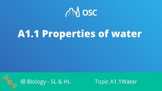 A11 Properties of Water IB Biology SLHL [upl. by Adien287]