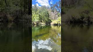 Wellington dam australia shorts nature outdoors adventure yourubefeed dam wellington [upl. by Htinek851]