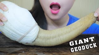 ASMR BOILED GIANT GEODUCK EXOTIC FOOD EXTREME EATING SOUNDS  LINHASMR [upl. by Epilef]