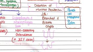 Crohns Disease  Pathology [upl. by Aisila]