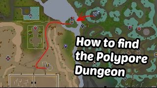 Runescape  How to get to Polypore Dungeon [upl. by Wirth]