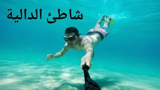 plage Dalia Tanger underwater GOPRO HERO4 الدالية من اجمل شواطئ الشمال بالمغرب [upl. by Kennan]