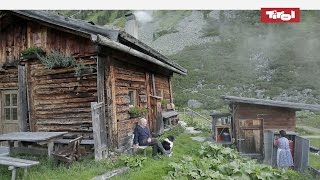 Leben auf der Alm  Almhütten in Tirol Österreich 🐮 [upl. by Liris455]