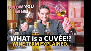 What is a Cuvée Wine Term Explained  Lets NOT STOP Sharing about VINO [upl. by Vins]