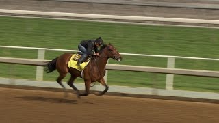 Bob Baffert used the word quotwowquot following American Pharoahs Work [upl. by Ttocs]