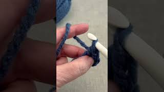 🌟 How to Crochet a Single Crochet Stitch StepbyStep Tutorial 🌟 [upl. by Kenwee]