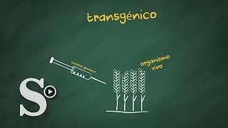 ¿De dónde salieron los transgénicos [upl. by Bourgeois]