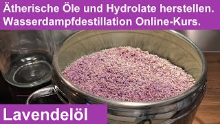 Lavendel destillieren Lavendelöl aus getrockneten Lavendelblüten Kräuterdestillation  Workshop [upl. by Areta]