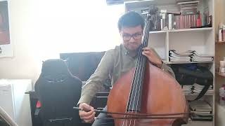 G Bottesini  Double Bass Concerto No 2 in B minor [upl. by Gambrell522]