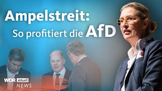 AfD und SPD in Umfragen gleichauf Unzufriedenheit mit AmpelRegierung  Aktuelle Stunde [upl. by Odlabso]