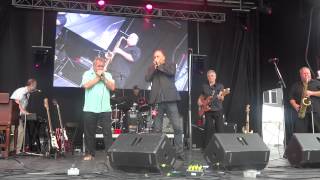 The Legendary Downchild Blues Band [upl. by Meluhs430]