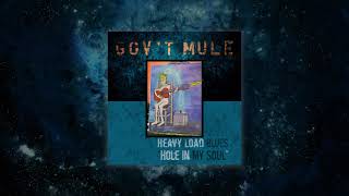 Govt Mule  Hole In My Soul Visualizer Video [upl. by Lihkin]