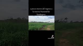 Puerto Maldonado Tambopata usoagricola [upl. by Bradley]