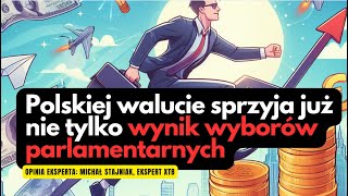 Polskiej walucie sprzyja już nie tylko wynik wyborów parlamentarnych [upl. by Ahsiel26]