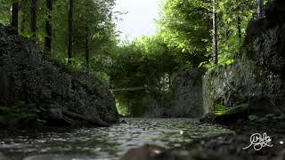 river3d render in blender 293 cycles engine [upl. by Aneele]