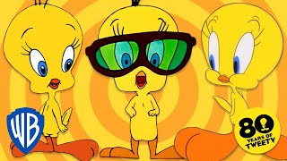 Looney Tunes  2022 The Year of Tweety 💛  WB Kids [upl. by Ymma846]