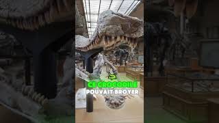 Deinosuchus… Le géant crocodile préhistorique animaux monster deinosuchus crocodile faith [upl. by Labaw]