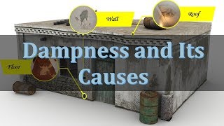 Dampness and Its Causes  Common Causes of Dampness in Your House  Building Technology [upl. by Ykciv716]