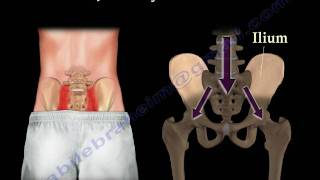 Sacroiliac Joint Dysfunction Animation  Everything You Need To Know  Dr Nabil Ebraheim MD [upl. by Mccurdy]