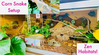 Corn Snake Enclosure Upgrade into Zen Habitats [upl. by Annekahs]