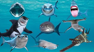 All Shark Gegagedigedagedago Compilation [upl. by Brezin577]